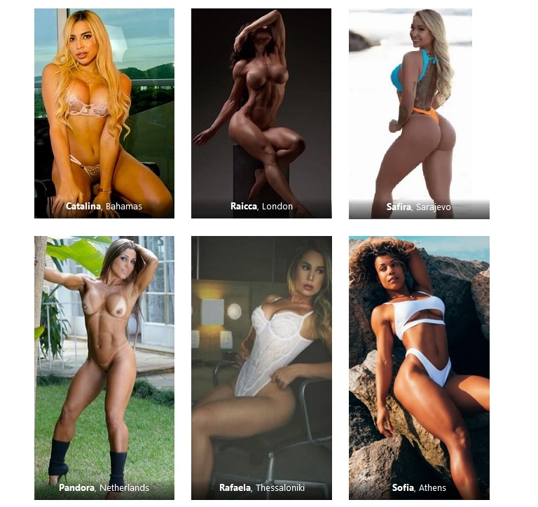 Exclusive Directory Featuring Muscle Babes!